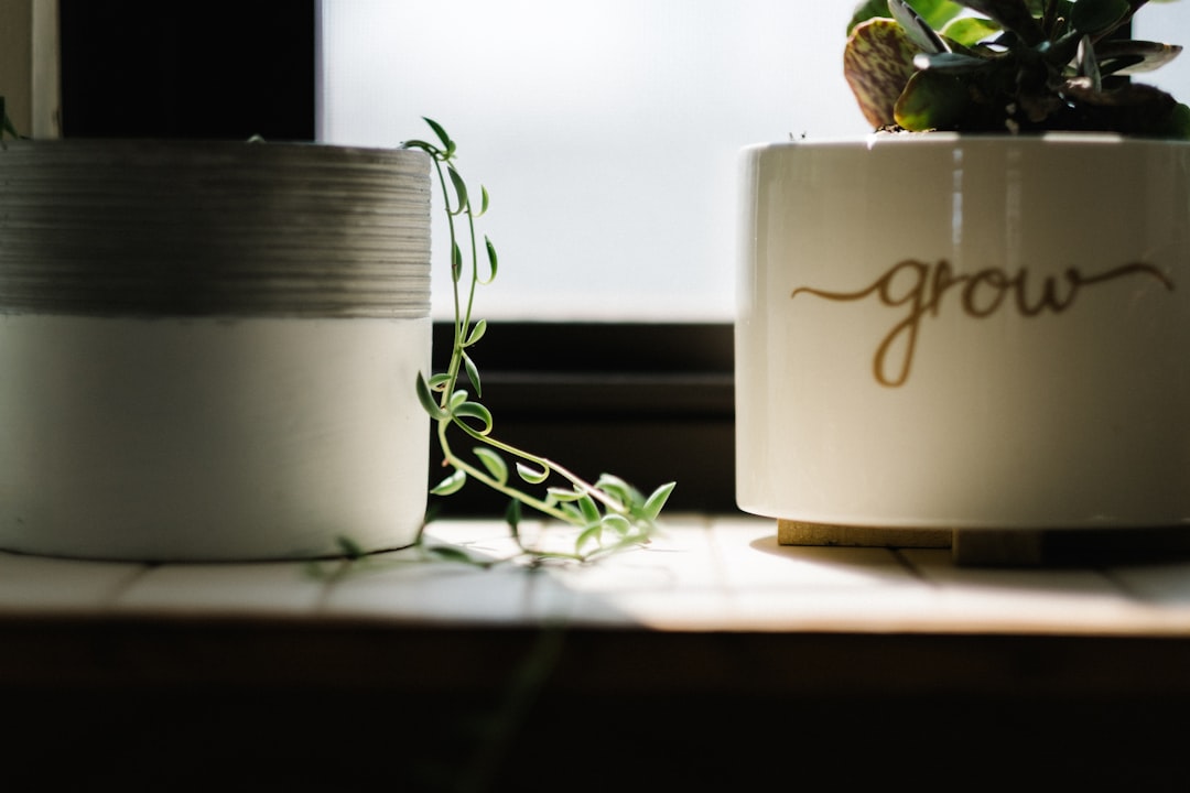 A Growing Need for Action