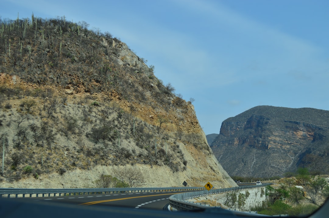 New Mexico and Montana: Diverse Political Landscapes