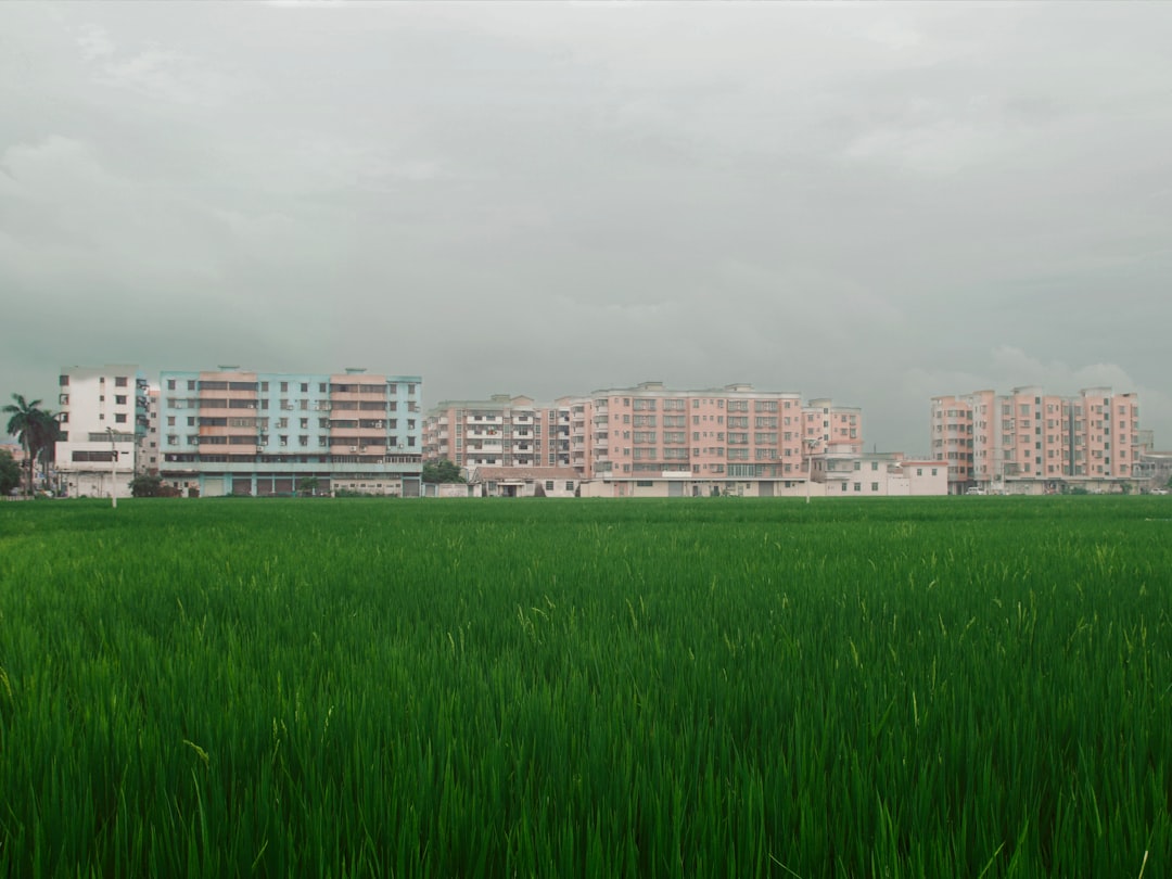 Urban vs Rural Votes: The Great Divide