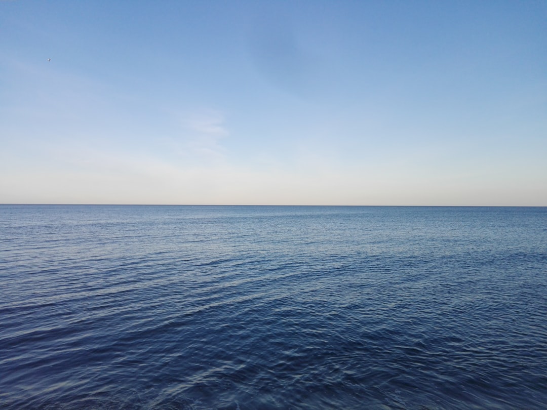 Primaries on the Horizon