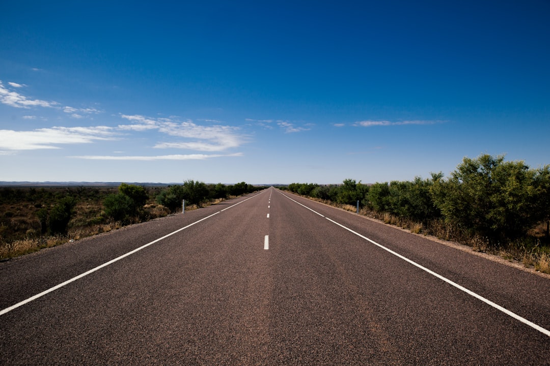 The Road Ahead for Reform UK