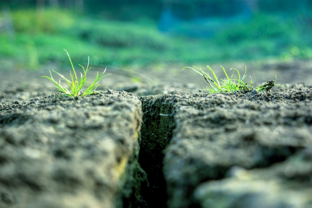 The Collapse of Greensill Capital