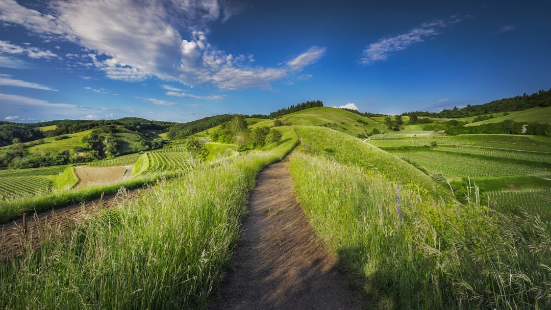 Navigating the New Landscape