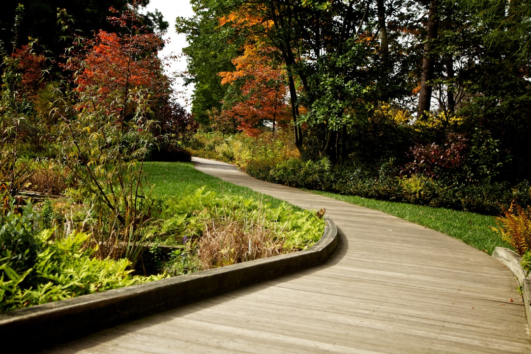 A Complex Landscape of Care
