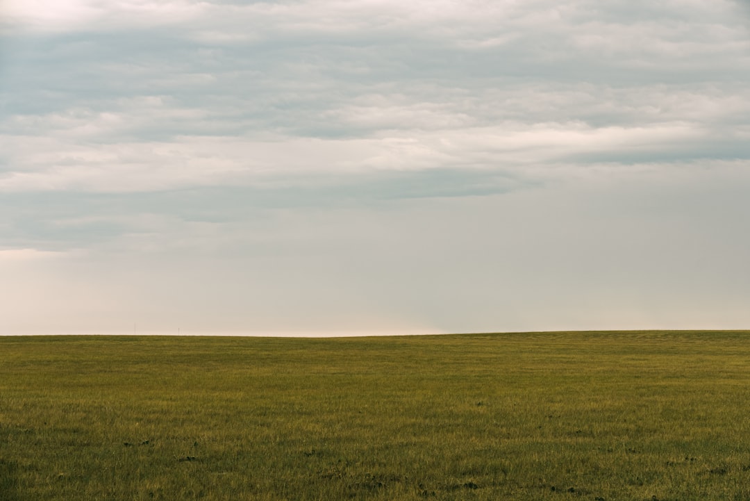 Key Findings: A Landscape of Uncertainty