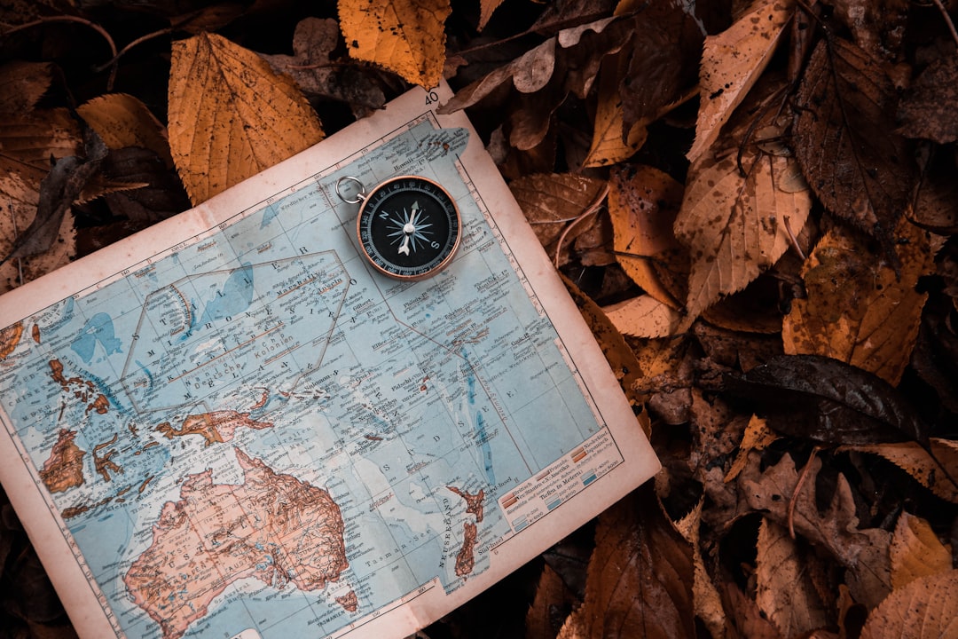 Learning from the Past: Navigating Future Elections