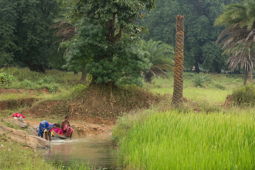 Local Responses and Water Conservation Efforts