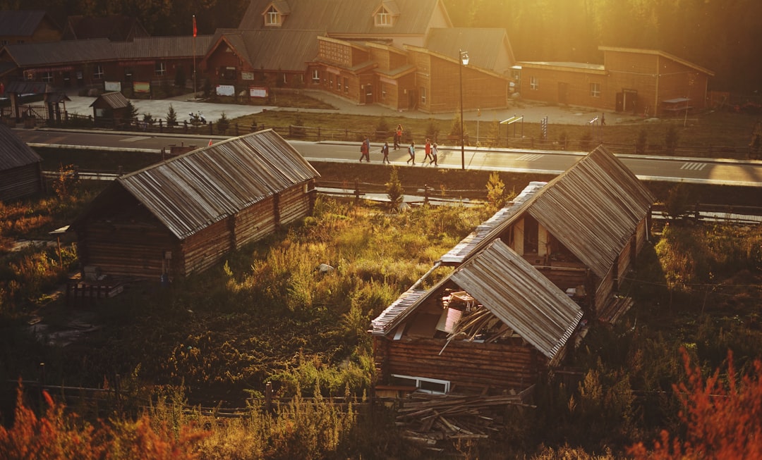 Community in Survival Mode