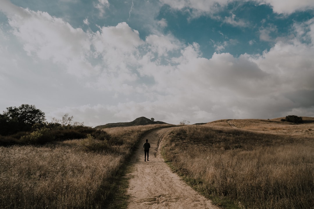 The Path Forward