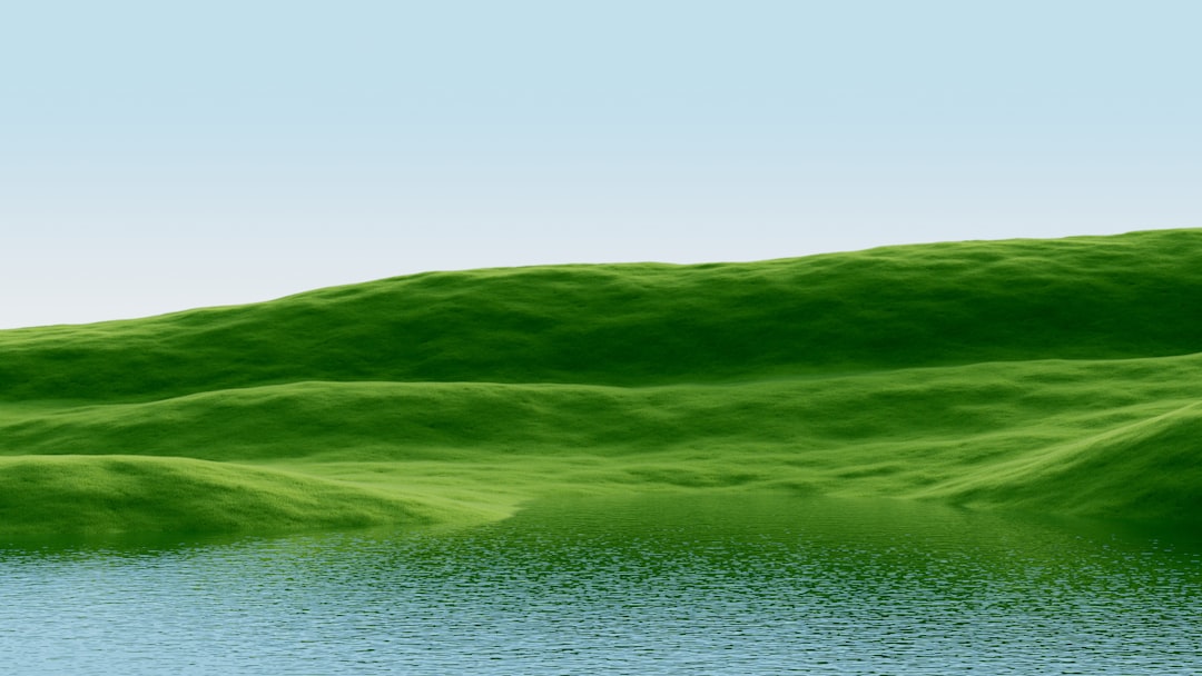 Navigating the Digital Landscape