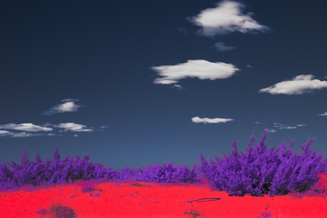 Anthropic’s Role in the AI Landscape