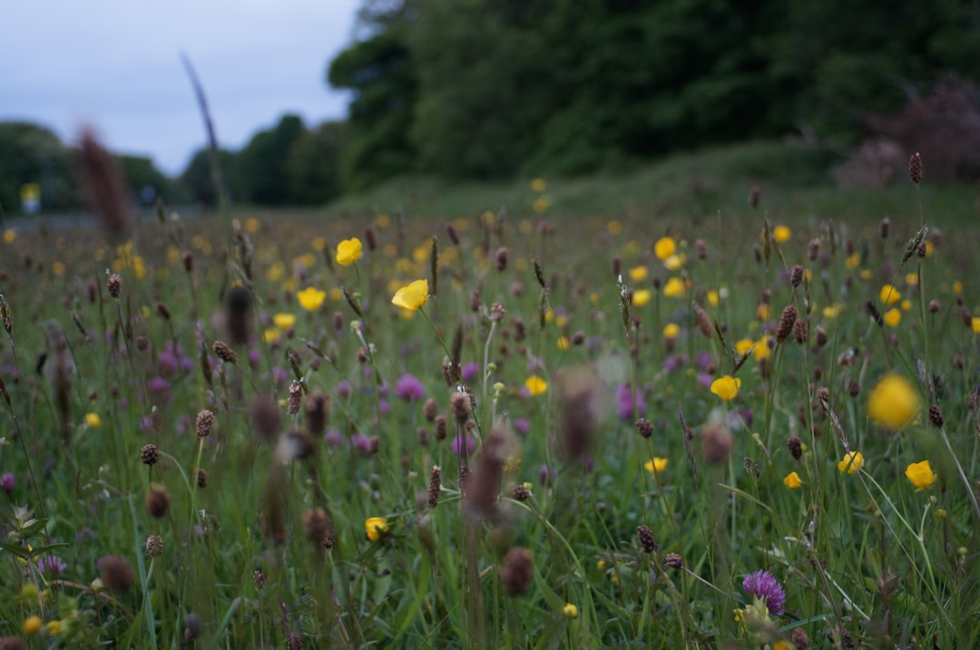 A Beacon of Hope for Biodiversity