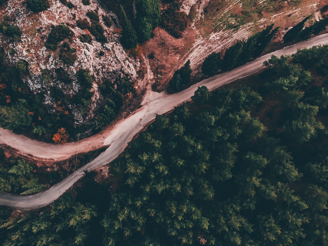 Conclusion: Navigating the New Landscape