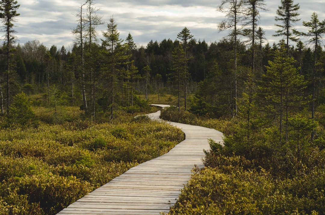 The Path Forward for Biodiversity