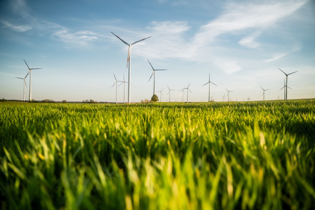 Embracing Green Technology: Heat Pumps and Solar Panels