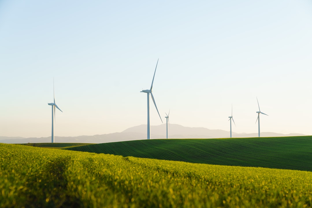 Navigating Environmental Sustainability