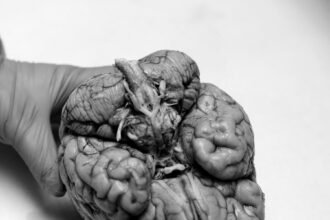 25nat-cte-takeaways-1-mediumSquareAt3X