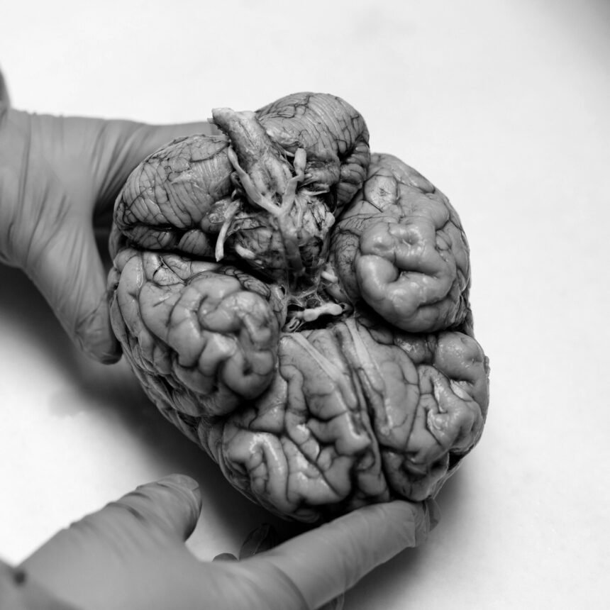 25nat-cte-takeaways-1-mediumSquareAt3X
