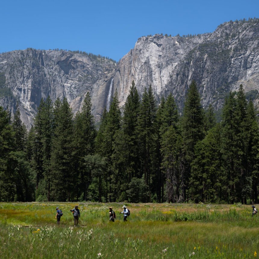 28nat-ca-yosemite-btkq-mediumSquareAt3X