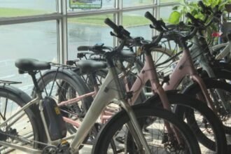 Bike