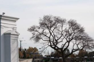 Canada-U.S.-travel-2