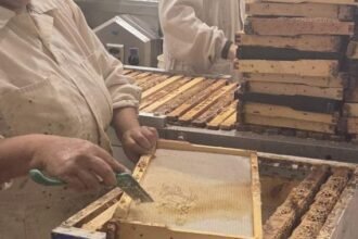 Honey-Producers-rotated-1