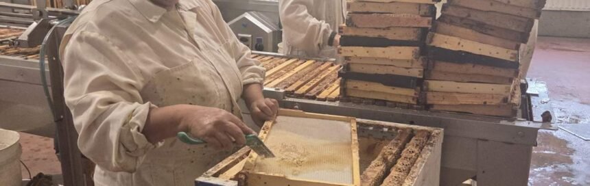 Honey-Producers-rotated-1