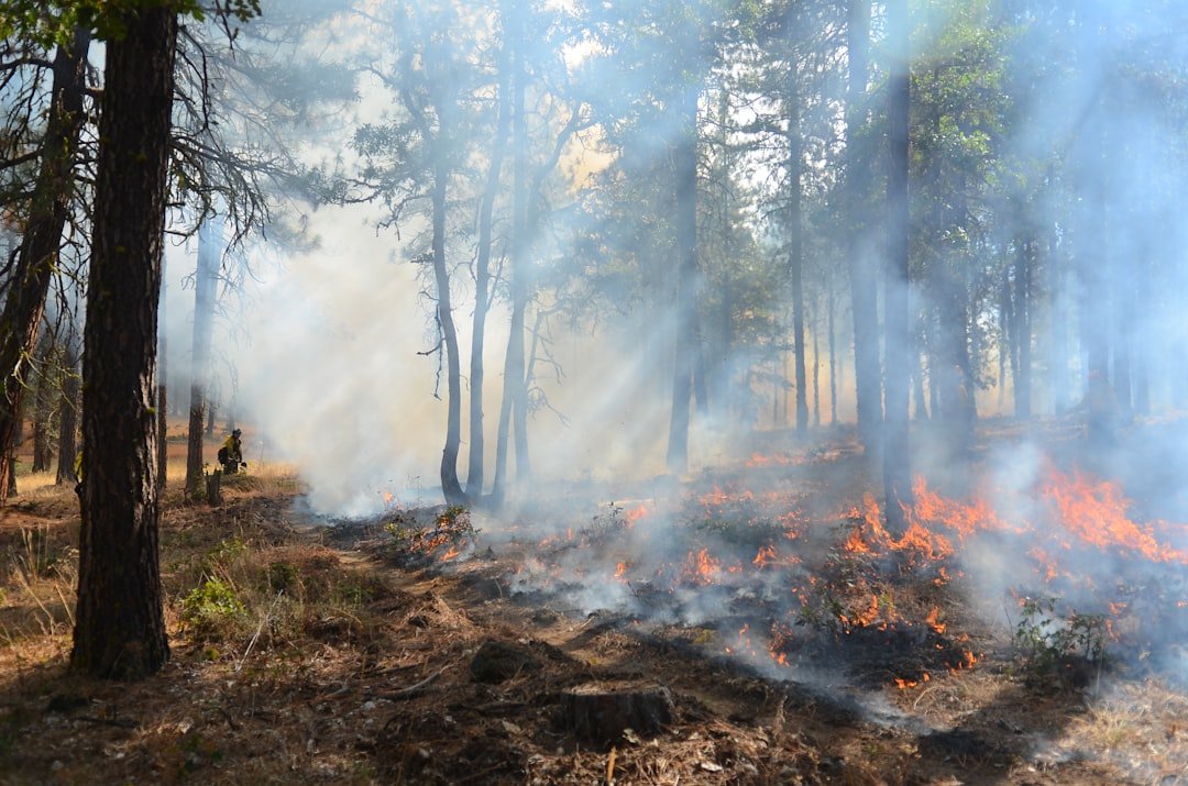 Wildfires Reshape Access to Natural Sites  
