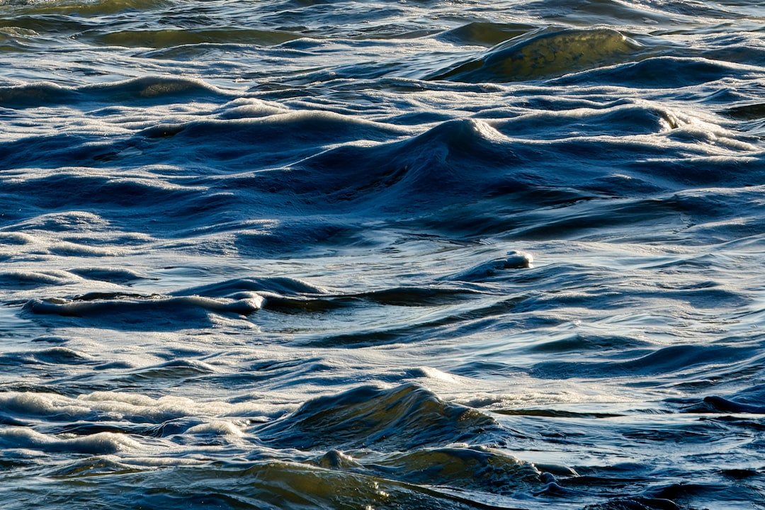 Economic Ripples in Coastal Communities