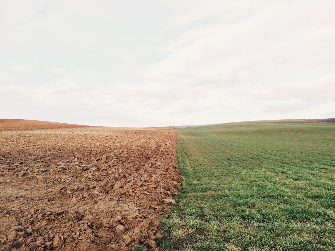 A Divided Agricultural Community