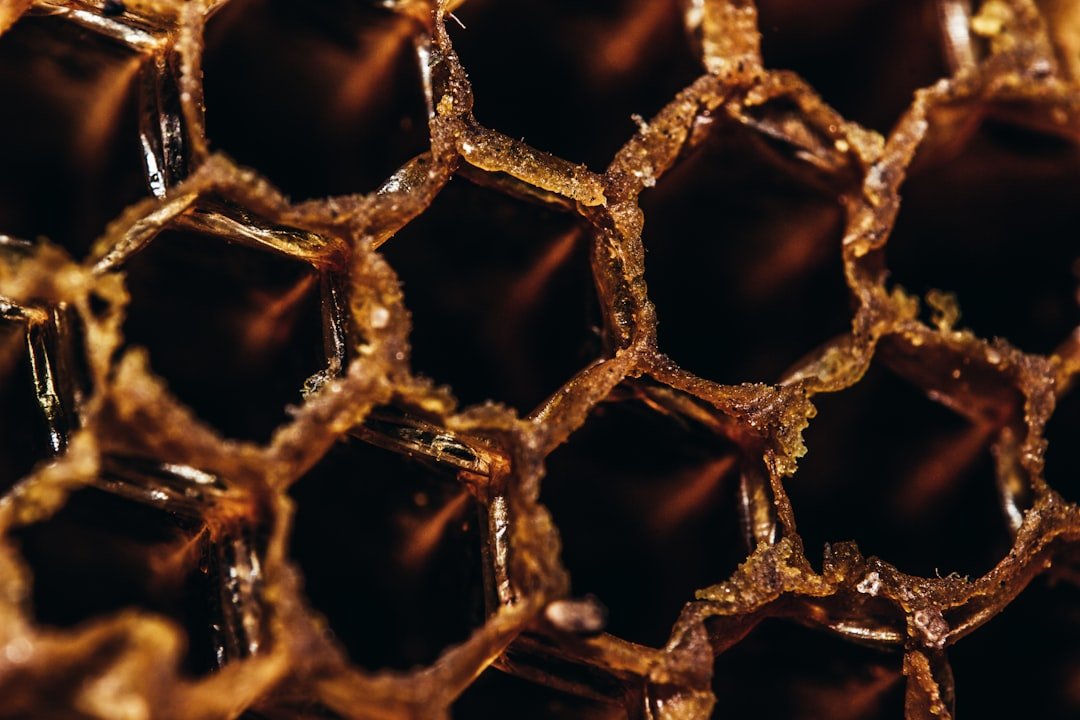 Manufacturing and honey feel the pinch