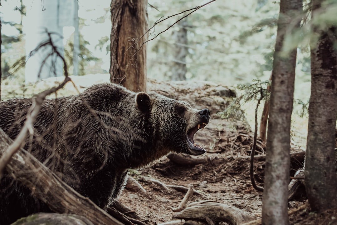 Manufacturing and Forestry Bear the Brunt