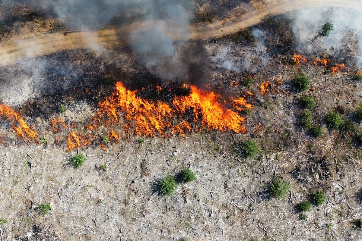 Whitehorse’s Aspen‑Lined Firebreak