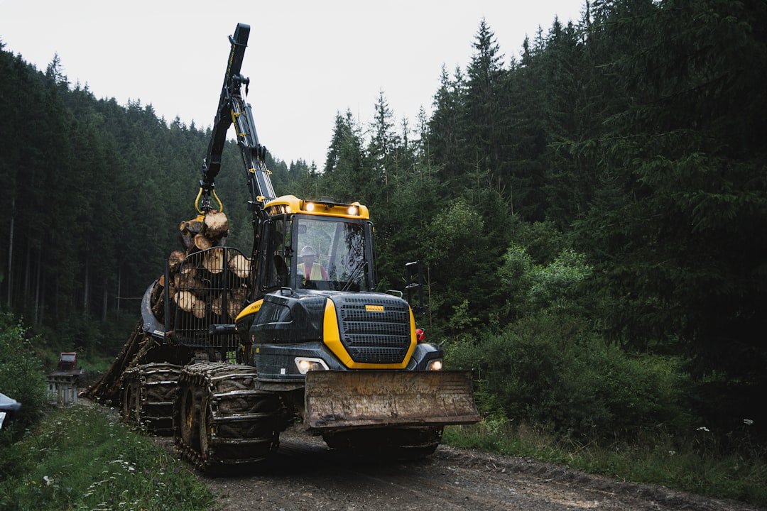 Forestry Industry Catches the Brunt