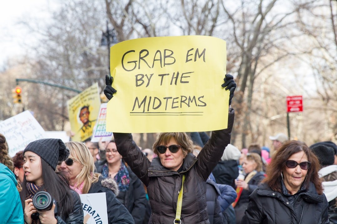 What This Means for Midterm Voters