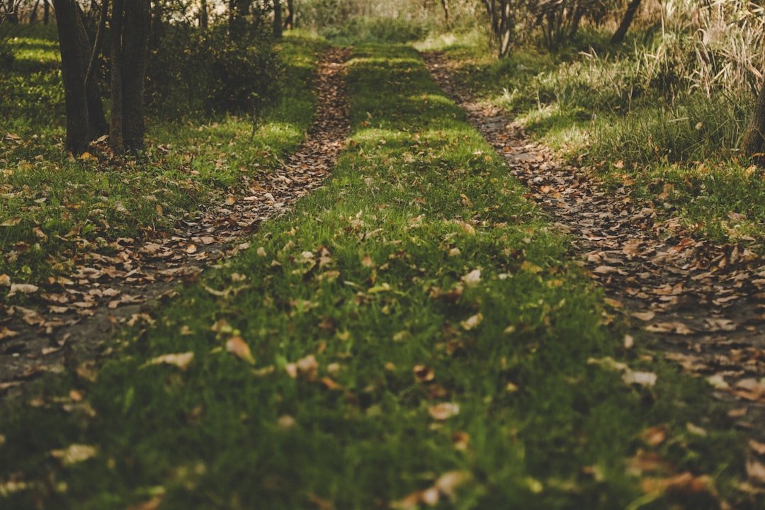 A Resolute Opposition and the Path Forward