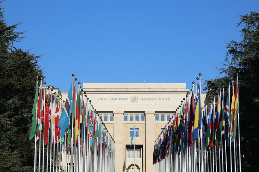 International and Domestic Impact