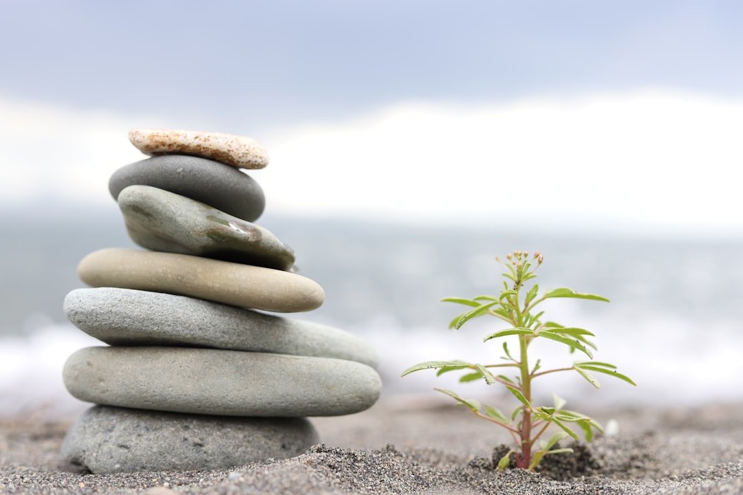 A Legacy of Quiet Resilience