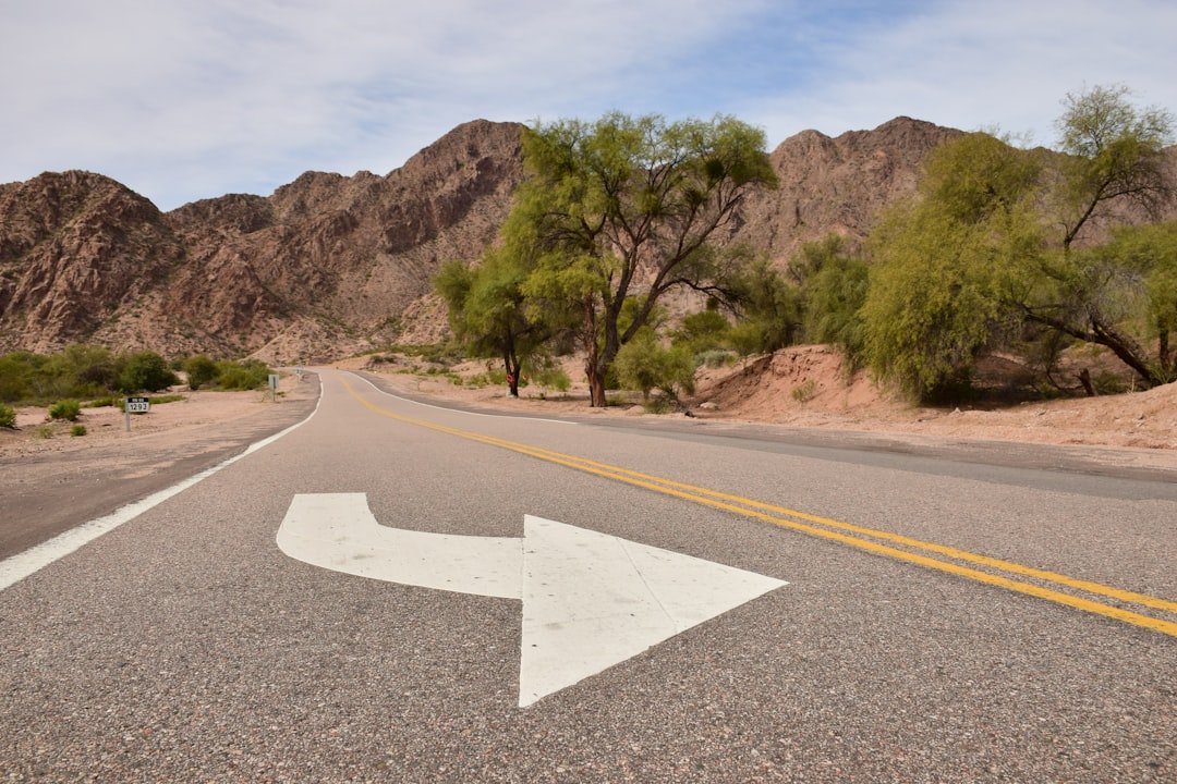 Regulatory pathways moving forward