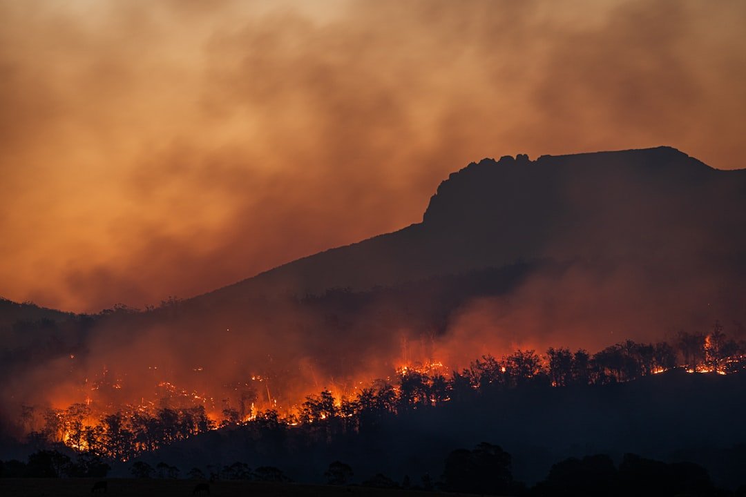 Impact of the Hawk Fire