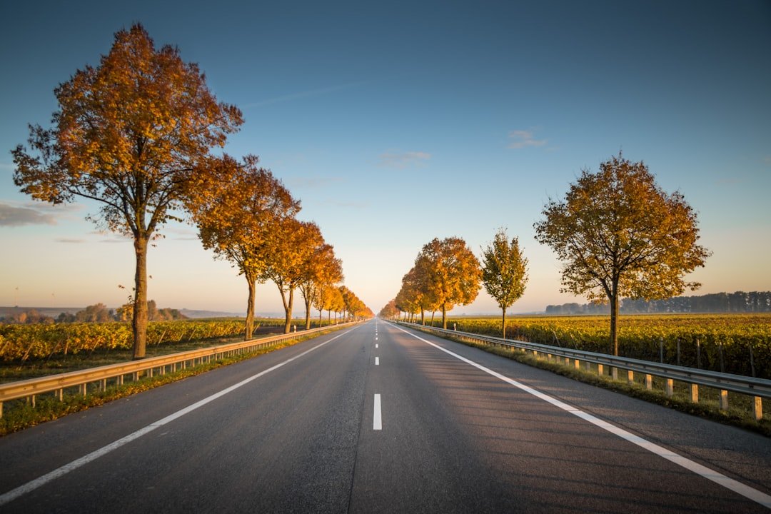 Diversifying Markets and the Road Ahead