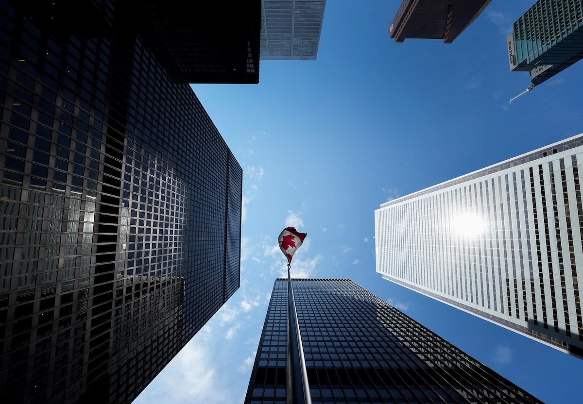 Industry and market context