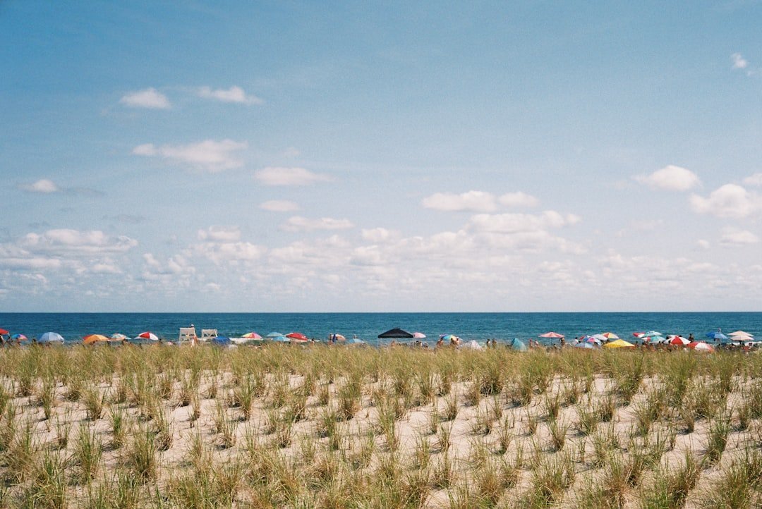 Returning South: Summer Tourism Shows Modest Resilience