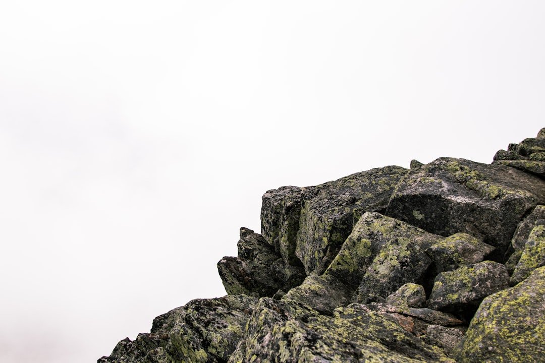 What the Rocks Reveal About the Asteroid