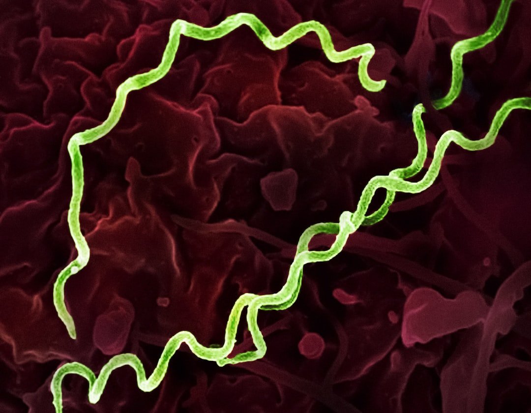 Understanding the Rare Parasite Threat