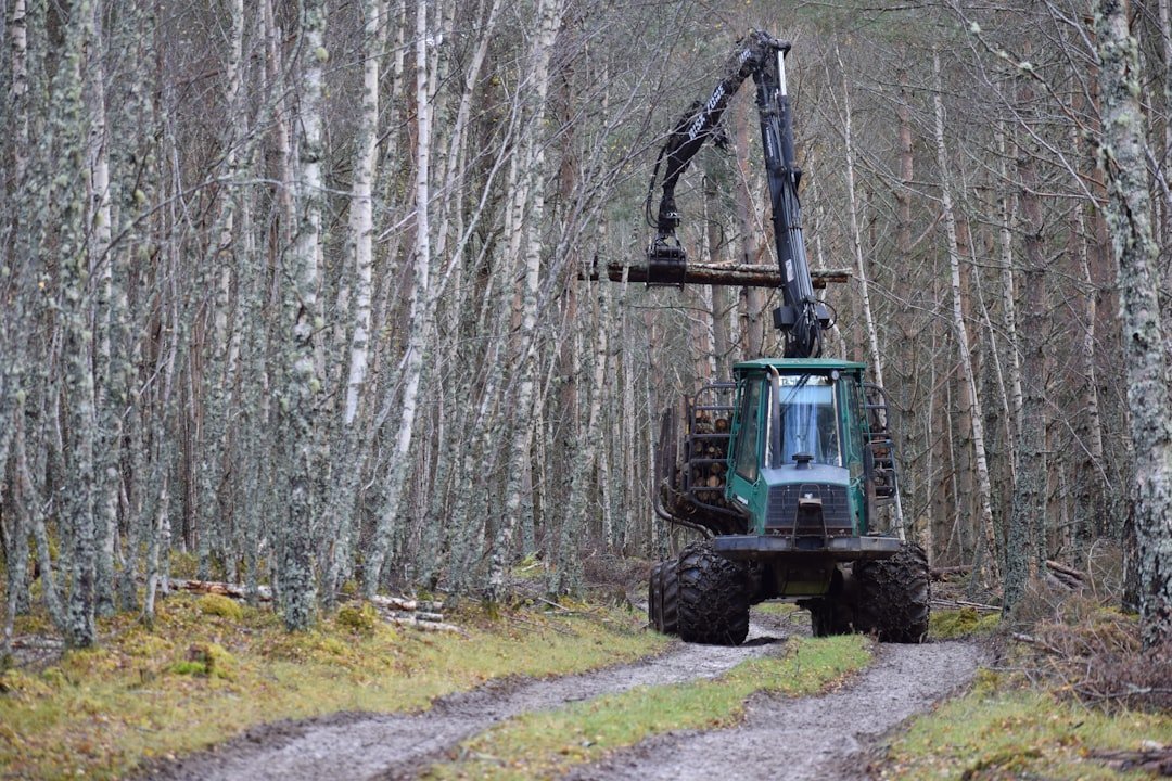 Manufacturing and Forestry in the Crosshairs