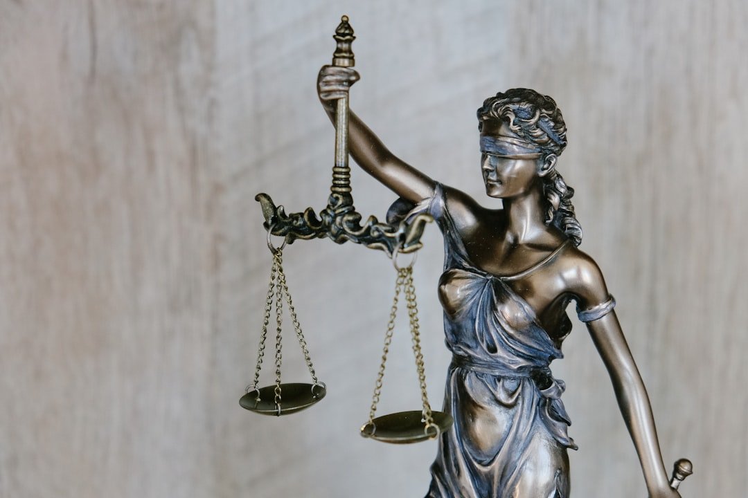 Judicial Scrutiny and Constitutional Concerns