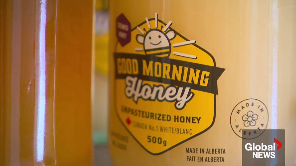 Hannigan Honey’s Export Dependence