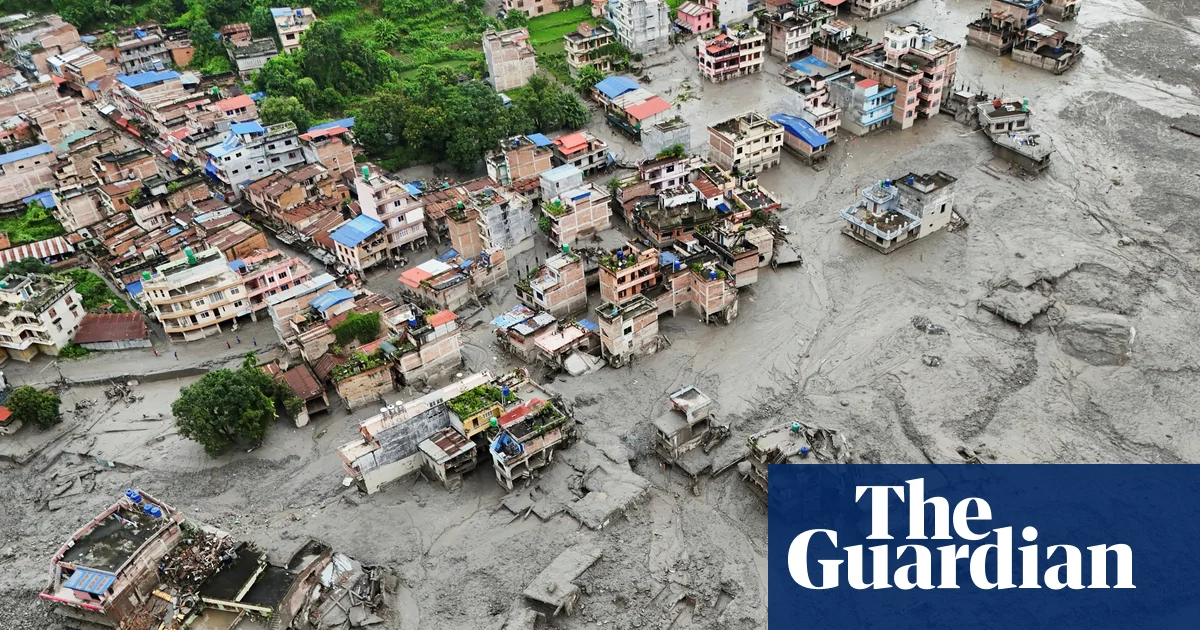 Survivor Stories: Clinging to Life Amidst the Mud
