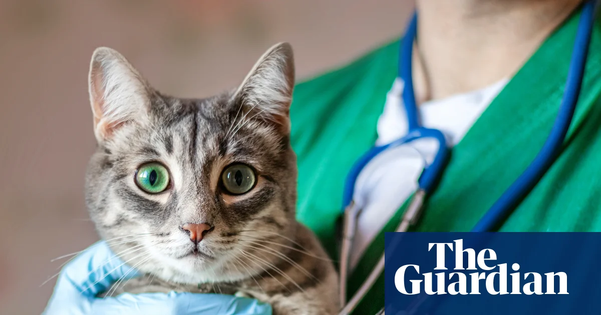 New rules aim for clarity but face legal challenge